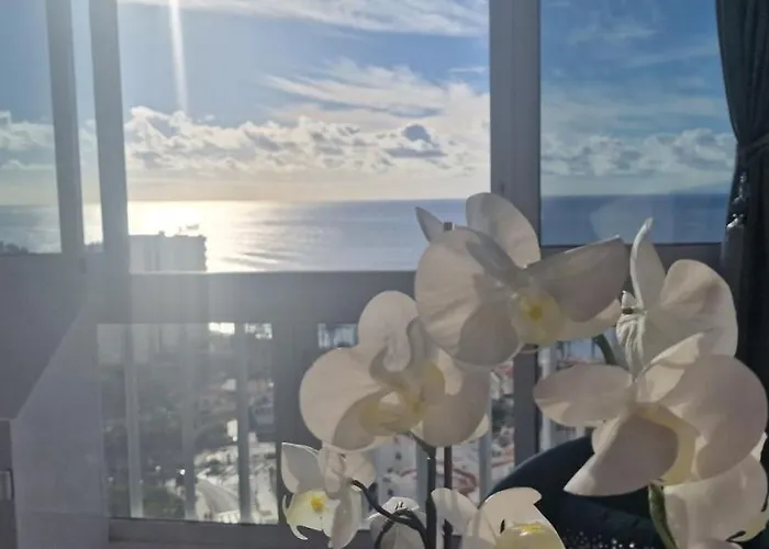 Holiday home Luxury Ocean View 1 Bedroom Playa de las Americas (Tenerife)