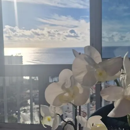 بيت للعطل Luxury Ocean View 1 Bedroom بلايا ذي لاس أميريكاس